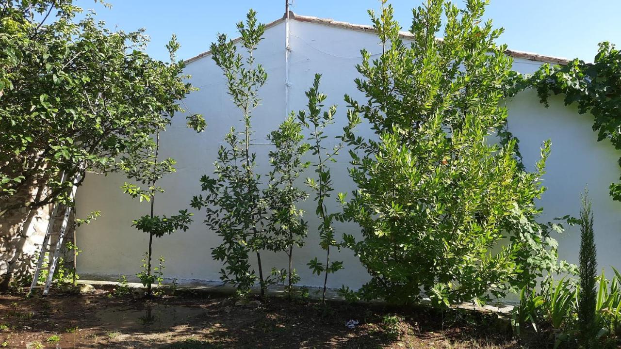 Casa Junto Al Parque Natural De Las Bardenas Sádaba Eksteriør bilde